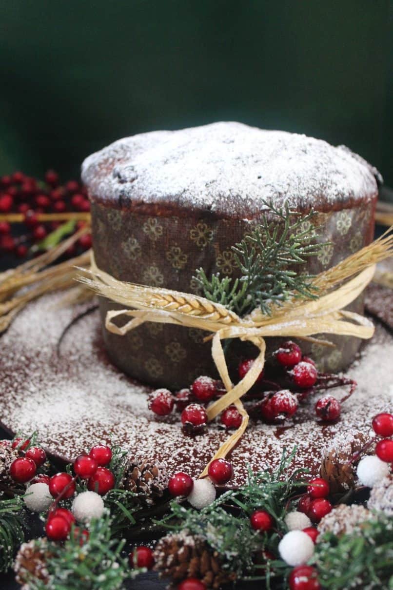 Homemade Chocolate Chips Panettone shown in a festive & colorful setting. Panettone is covered in confectioner's sugar