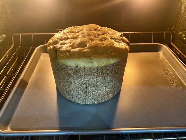 Panettone in the oven, ready to bake. Dough has risen over the paper mold's rim and looks like it will overflow. That's when you start the baking process.