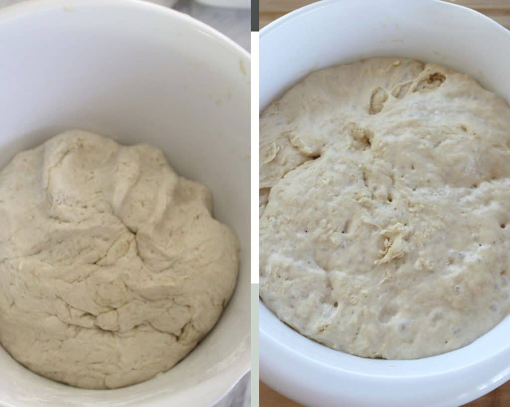 Before and after pictures of the dough from the rising process. Dough becomes bubbly and tripled in size.