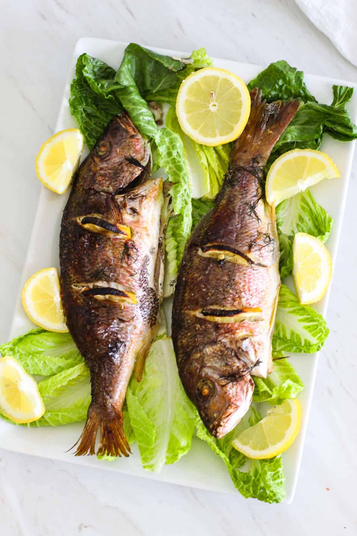 A rectangular platter showing 2 baked whole red snappers, over lettuce and garnished with fresh lemon slices.
