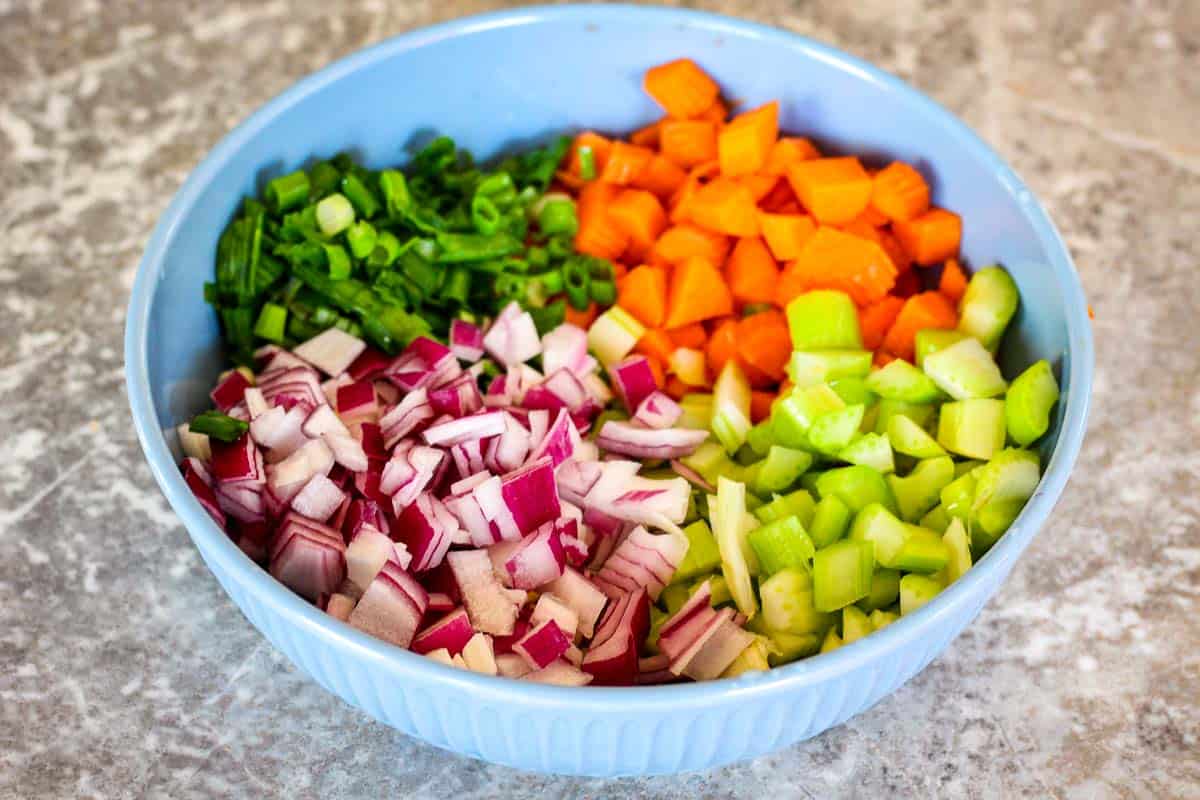 Chopped veggies, carrots, green onions, celery and red onions. 