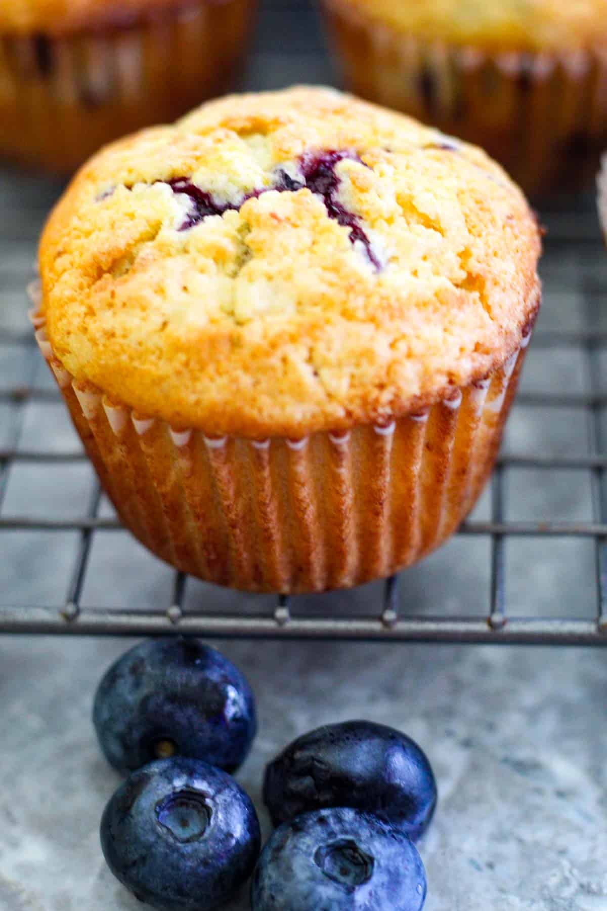 A single blueberry muffin with meyer lemon on a cooling rack. There are fresh blueberries as garnish in front.