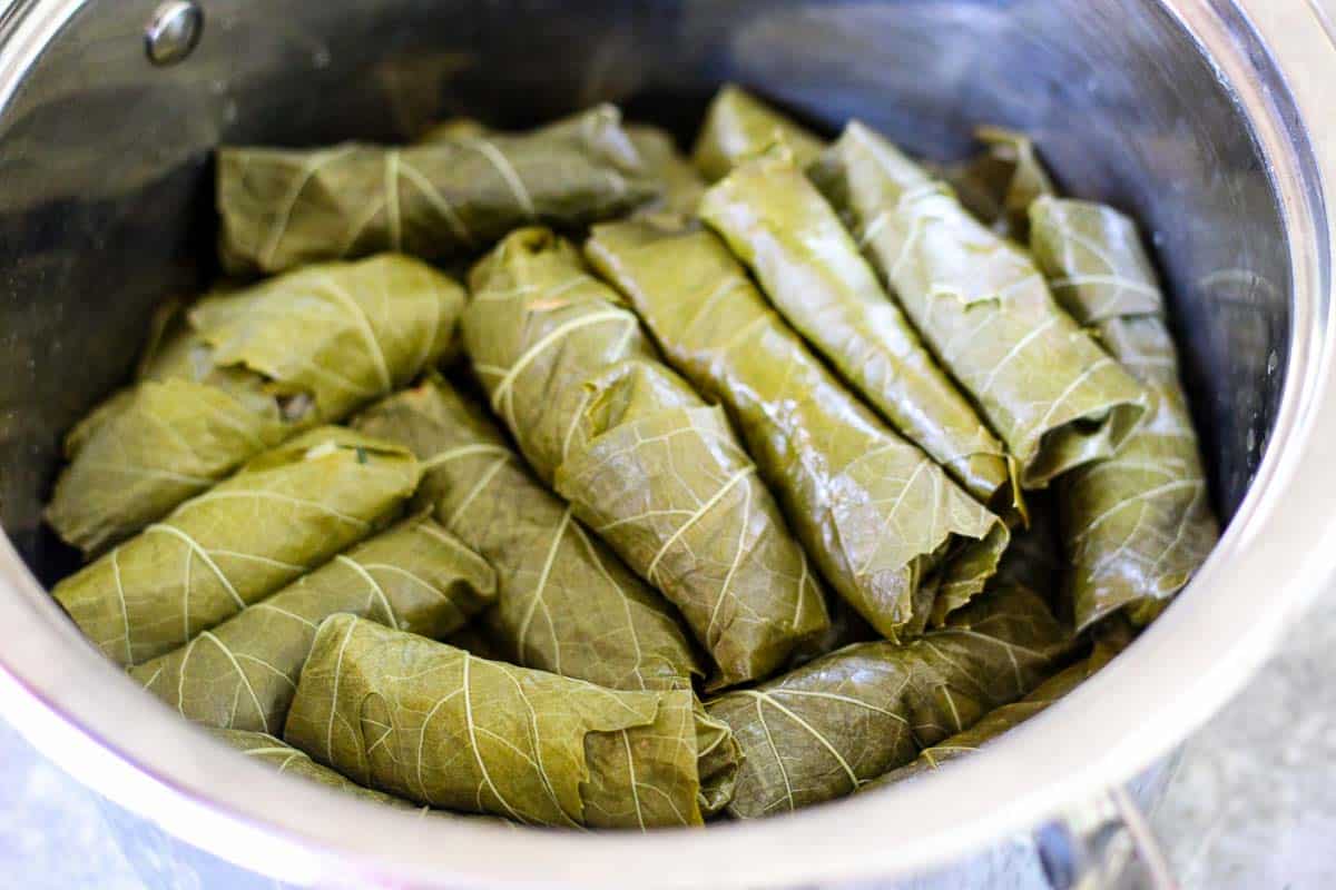 A medium size cooking pot with rolled vine leaves.