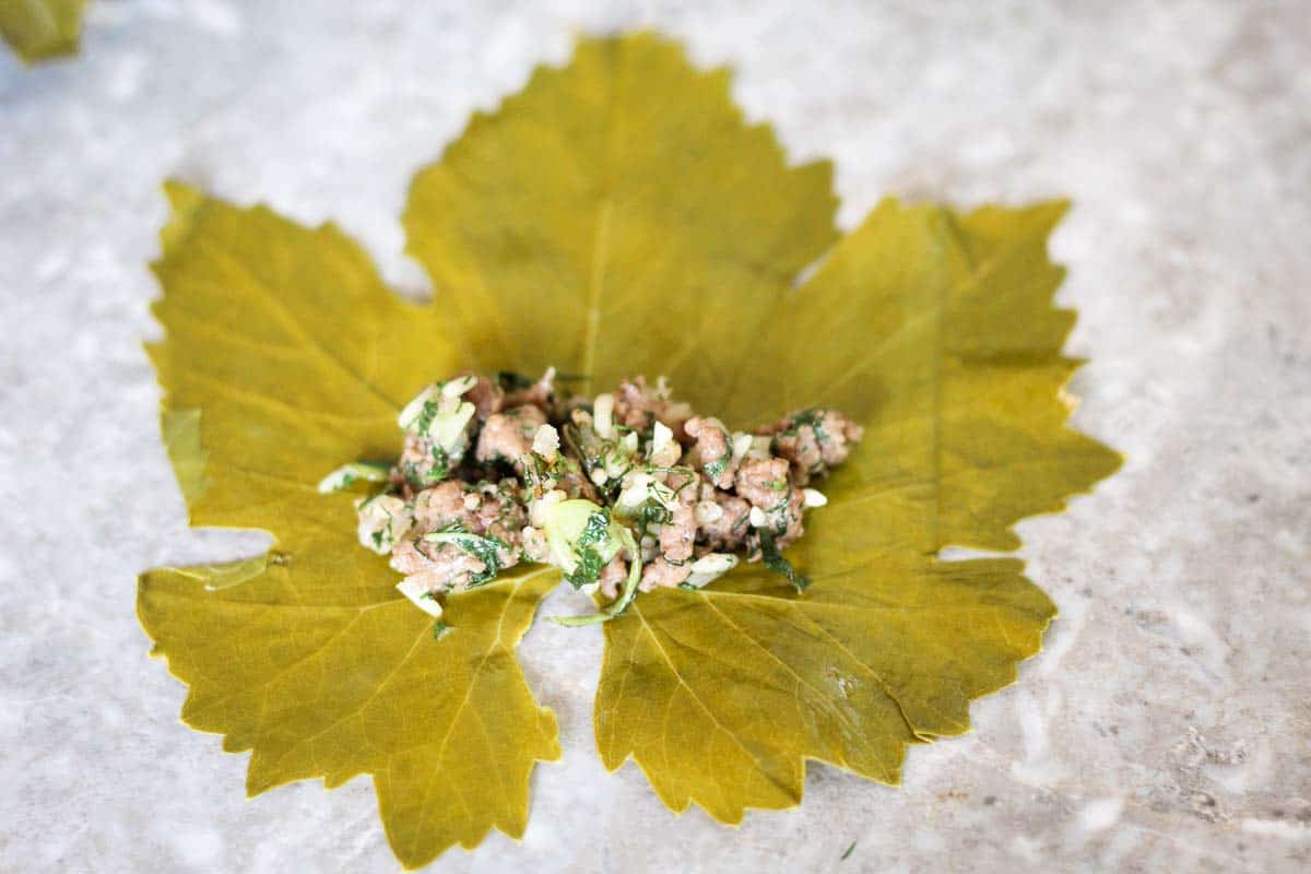 This picture shows a spread grape leaf with stuffing right at the stem, ready to be rolled. 