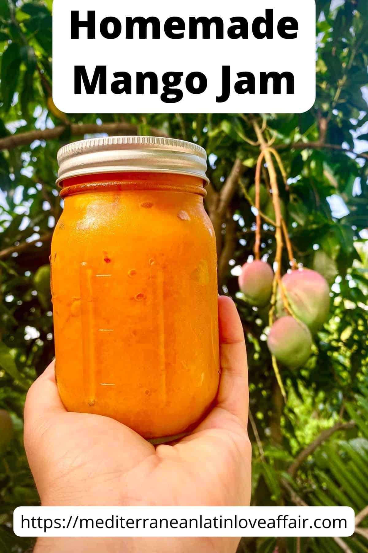 An image prepared specifically for Pinterest. It shows an image of a hand holding a jar of mango jam in front of a mango tree. The image has a title bar on top of the image and the website link a the bottom.
