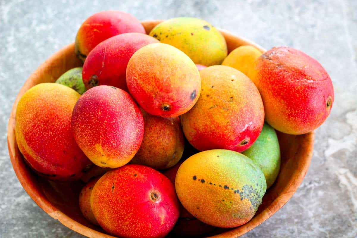 A canister full of ripe mangoes, maybe around 15-20 mangoes.
