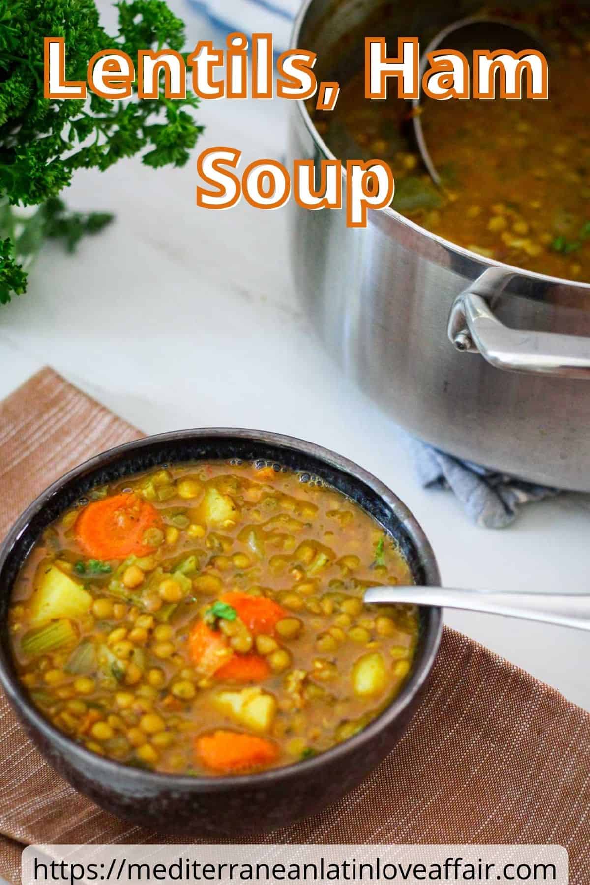 An image prepared for Pinterest, it shows a picture of the lentils and ham soup. There's a soup bowl in the center and the soup pot in the background. Picture has a title bar on top and a website link in the bottom.