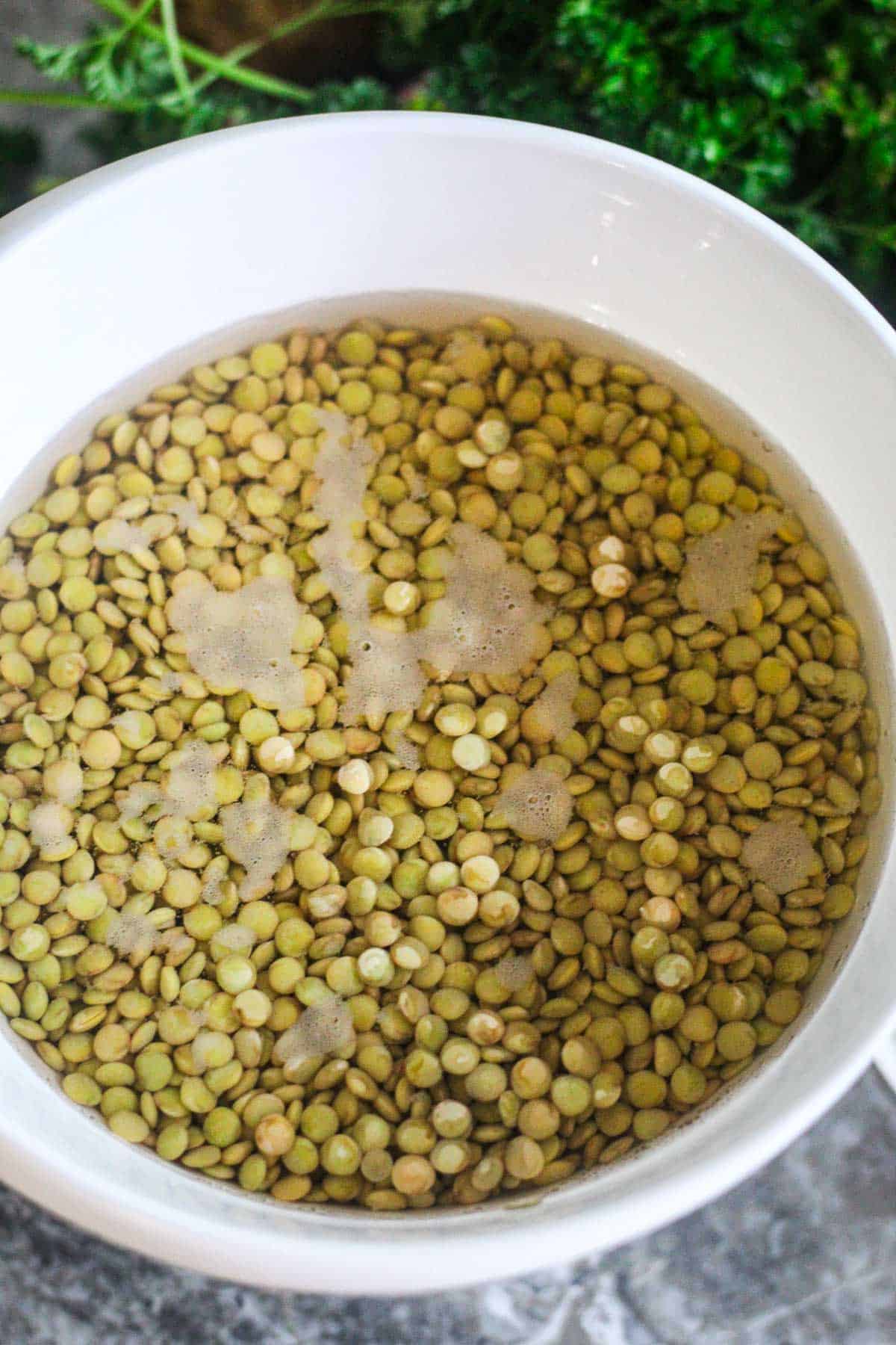 Lentils soaking in a bowl of water.