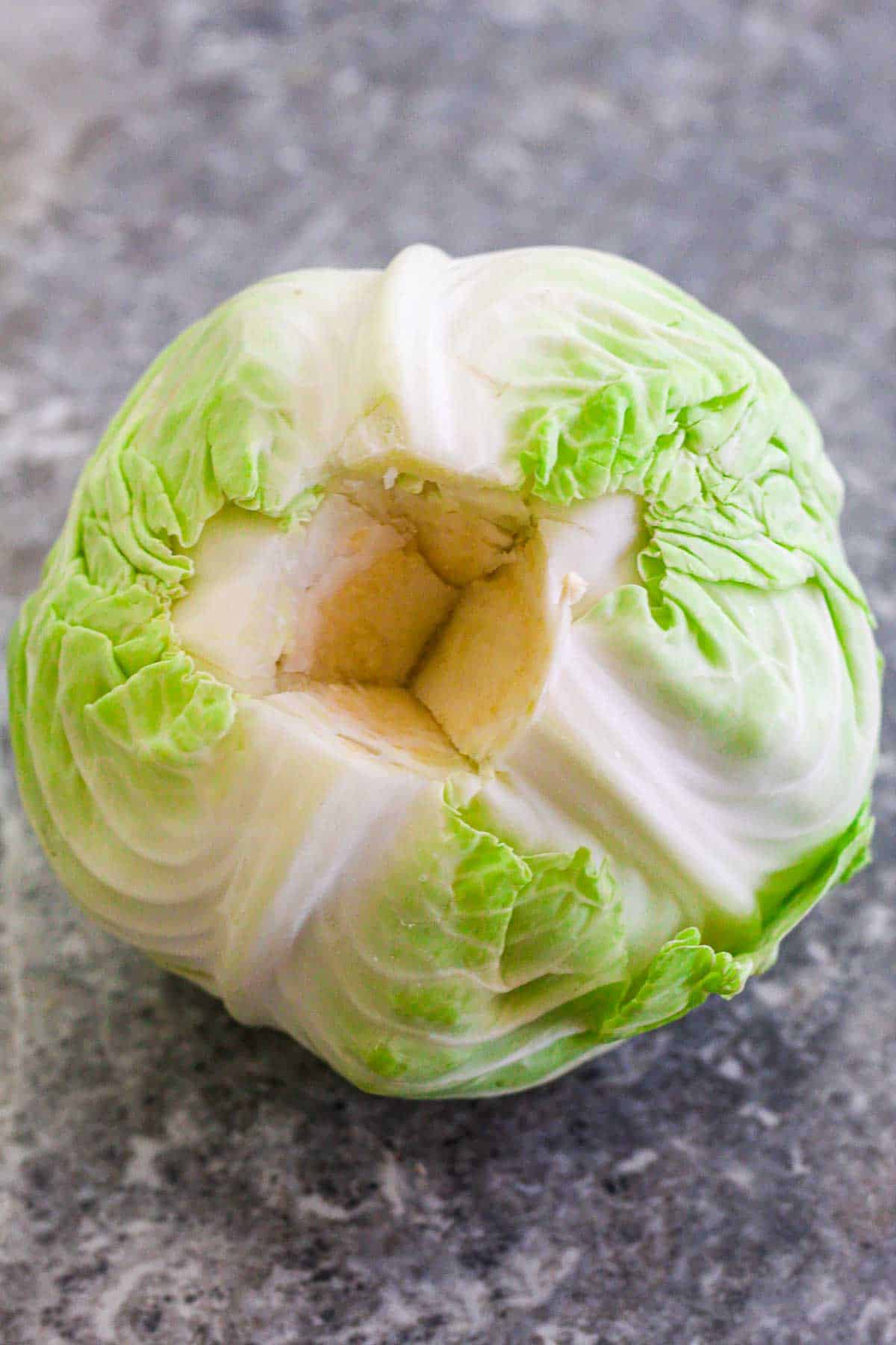 Green cabbage on a counter with the core removed. 