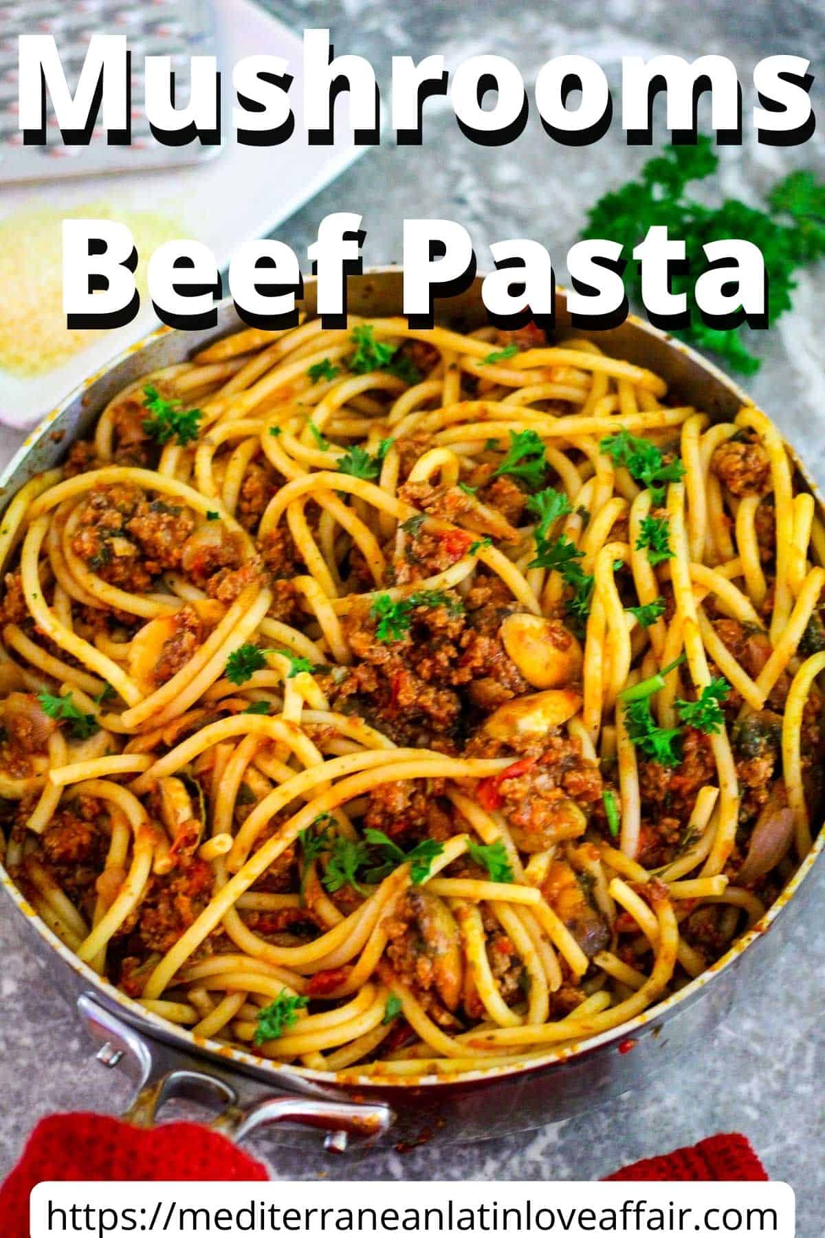 An image prepared for Pinterest, it shows a picture of bucatini pasta in mushrooms and beef sauce in a pot, family style. There's a title bar on top and a website link at the bottom.