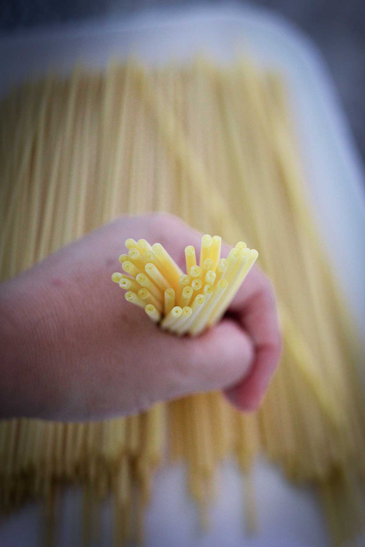 A hand showing bucatini pasta, uncooked from the side so you can see the tubular shape with a hole in it.
