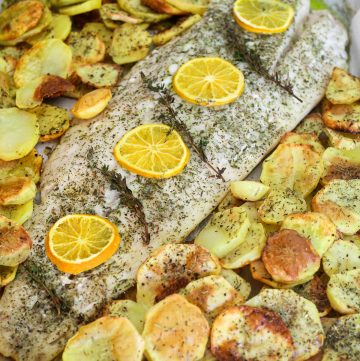 Baked corvina in a baking sheet, garnished with lemon slices. There's lots of roasted potatoed around the baked fish.