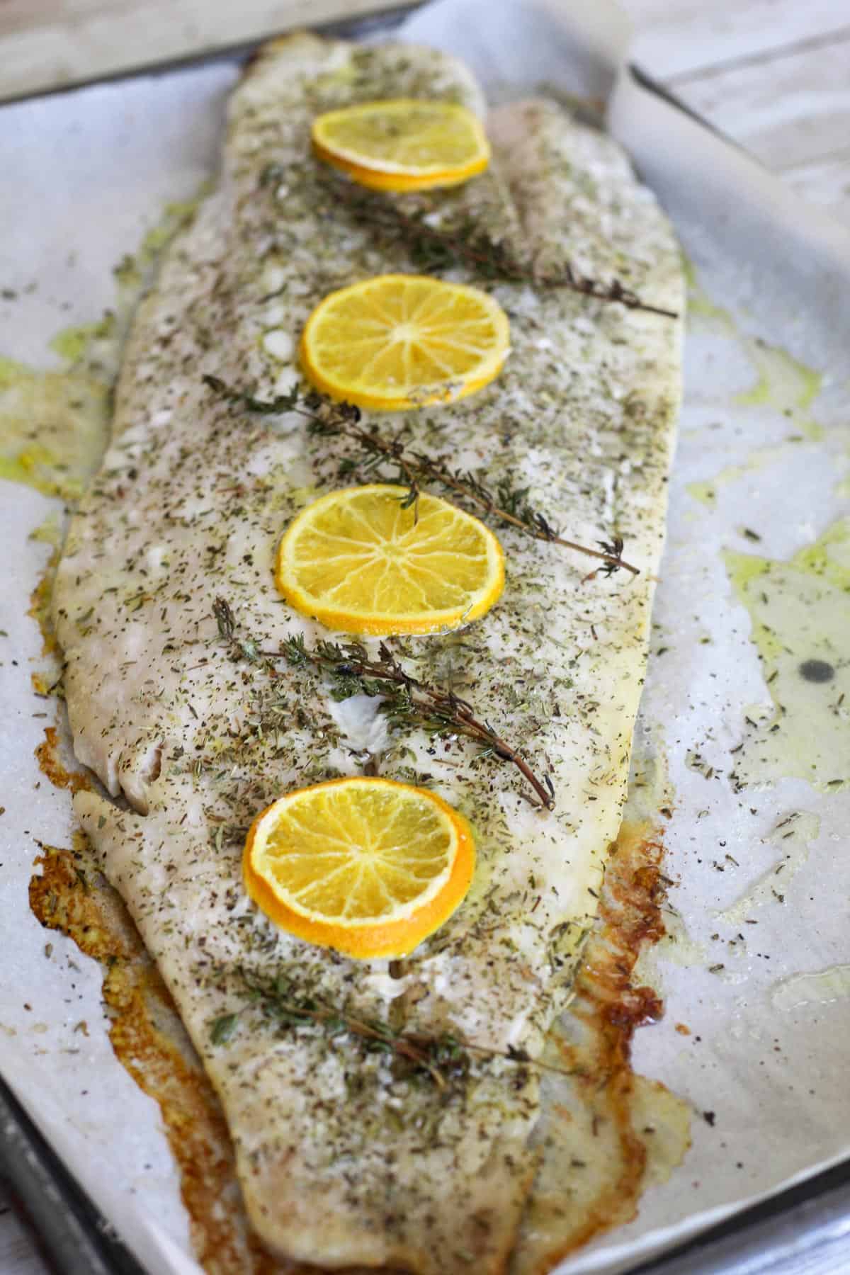 Baked corvina fillet shown in the baking sheet where it was baked, over parchment paper. Fish looks seasoned and topped with slices of lemon. 